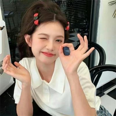 藏獒多吉